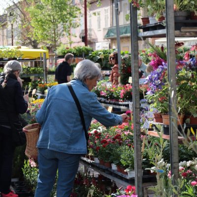 Marché (33)