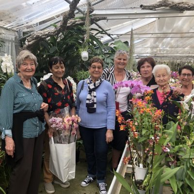 cepoun_visite_serre_orchidees